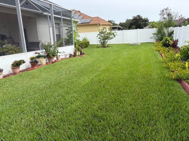 Fresh sod lawn wrapping a screened lanai with planted borders