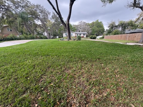 Front lawn bordered by mature trees with a paver driveway at the left