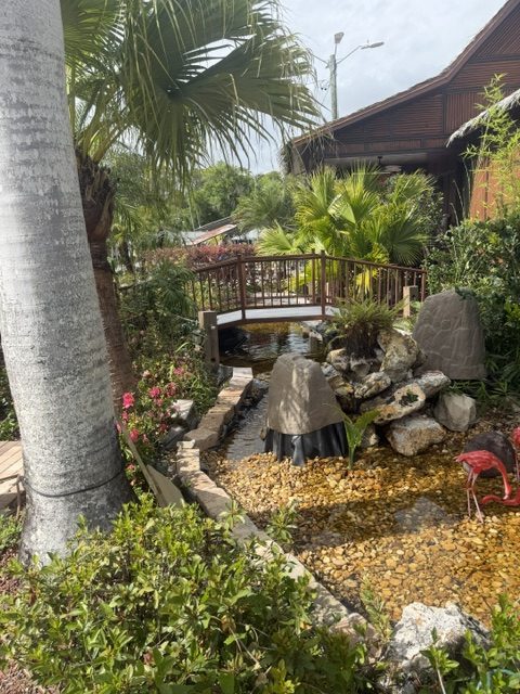 Boulder rock garden with tropical planting and gravel ground cover