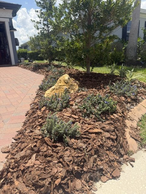 New mulch bed with ornamental plants and stone accents